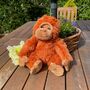 Super Soft Orangutan Cuddly Toy, thumbnail 3 of 10