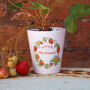 Teacher's Strawberry Plant Pot With Seeds, thumbnail 2 of 7