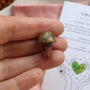 Unakite Mushroom Crystal Polished Healing Gemstone, thumbnail 3 of 8