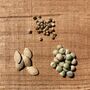 Set Of Three Grow Your Own Vegetable Seeds Gift, thumbnail 4 of 7