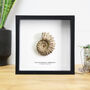 Douvilleceras Ammonite Box Frame Real Authentic Jurassic Dinosaur Fossil Museum Quality Natural History Interior Design Home Decor Display Gift Ornament, thumbnail 1 of 5