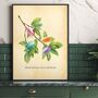 Macaron Wall Art, Botanical Print With A Twist, thumbnail 7 of 11