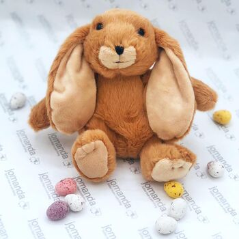 Brown Bunny Soft Toy Small, From Birth, 3 of 3