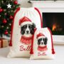 Personalised Border Collie Santa Sack, thumbnail 3 of 3