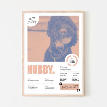 Personalised Dog Portrait Pet Poster Print, 12 of 12