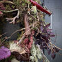 Dried Moss Wreath With Mushroom Amaranthus, thumbnail 3 of 4