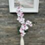 White And Pink Phalenopsis Orchid In Tall Slim Vase, thumbnail 5 of 8