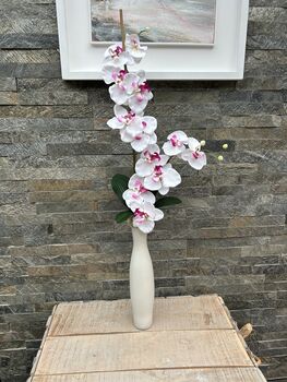 White And Pink Phalenopsis Orchid In Tall Slim Vase, 5 of 8