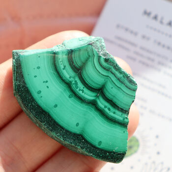 Malachite Rough Crystal – Polished Slices – Gift Bag, 2 of 8