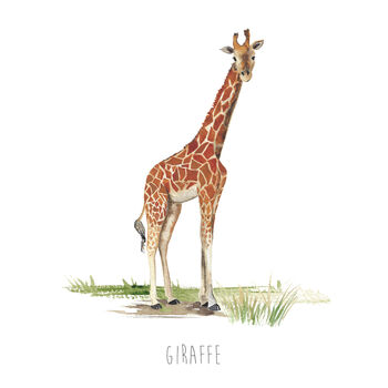 Giraffe Hand Painted Greetings Card, 2 of 4