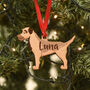 Border Terrier Personalised Dog Wooden Decoration, thumbnail 1 of 7