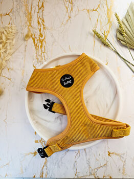 Mustard Yellow Cord Dog Harness With Optional Set, 2 of 5