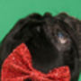 Dog Bow Tie Available In Multiple Colours, thumbnail 2 of 4