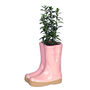 Personalised Pink Welly Boots Garden Planter, thumbnail 2 of 11