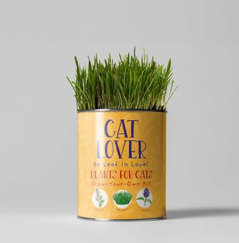 Cat Lovers Eco Grow Your Own Plant Kit, 2 of 9