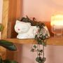 Pink And White Floral Sleeping Cat Planter, thumbnail 2 of 2