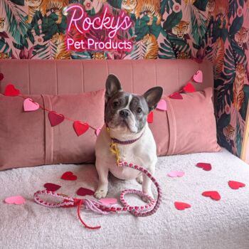 Heart Pattern Pink With Red Valentine's Day Make Your Own Dog Lead Craft Kit, 2 of 8