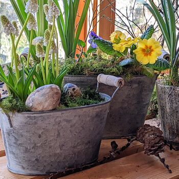 Oval Zinc Planter With Wooden Handles Set Of Two, 4 of 5
