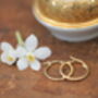 Nine Carat Gold Polo Earrings, thumbnail 5 of 7