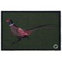 Hug Rug Outdoor Pheasant Green Two Door Mat, thumbnail 5 of 5