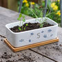 Personalised Birth Flower Stems Ceramic Bamboo Planter, thumbnail 1 of 3