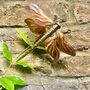 Copper Dragonfly Wall Hanging – Handmade Garden Wall Art – Outdoor Copper Sculpture, thumbnail 3 of 5