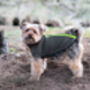 Yorkshire Terrier Polartec Dog Coat, thumbnail 4 of 5