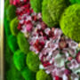 Moss Wall Art With Preserved Flowers, Floral Artwork, thumbnail 11 of 12