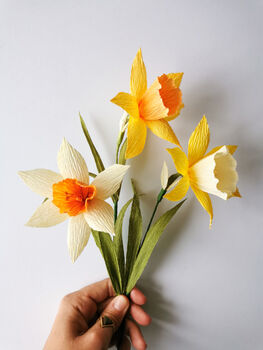 Paper Flower Craft Kit: Daffodils, 8 of 8