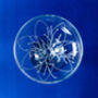 Botanical Berry Hand Engraved Coupe Glass, thumbnail 7 of 9
