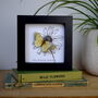 Personalised Butterfly And Flower Artwork, thumbnail 6 of 10
