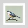 Nuthatch Fine Art Print, thumbnail 1 of 3