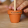 Wooden Flower Stem With Personalised Terracotta Pot, thumbnail 5 of 7