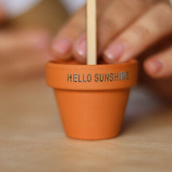 Wooden Flower Stem With Personalised Terracotta Pot, 5 of 7