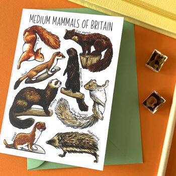 Medium Mammals Of Britain Greeting Card, 3 of 11
