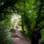 Box Hill And Back: A Circular Walk In The Surrey Hills From Box Hill And Westhumble Station, thumbnail 5 of 5