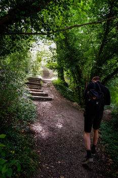 Box Hill And Back: A Circular Walk In The Surrey Hills From Box Hill And Westhumble Station, 5 of 5