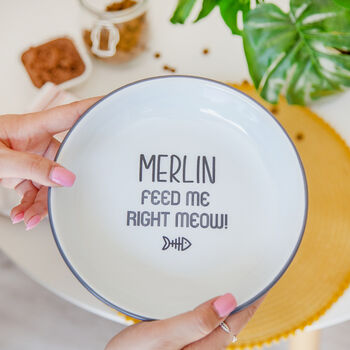 Personalised Enamel Cat Bowl, 11 of 11