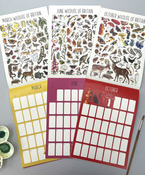 2027 British Wildlife Wall Calendar, 2 of 9