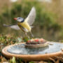 The Make A Pizza For The Birds Kit, thumbnail 5 of 8
