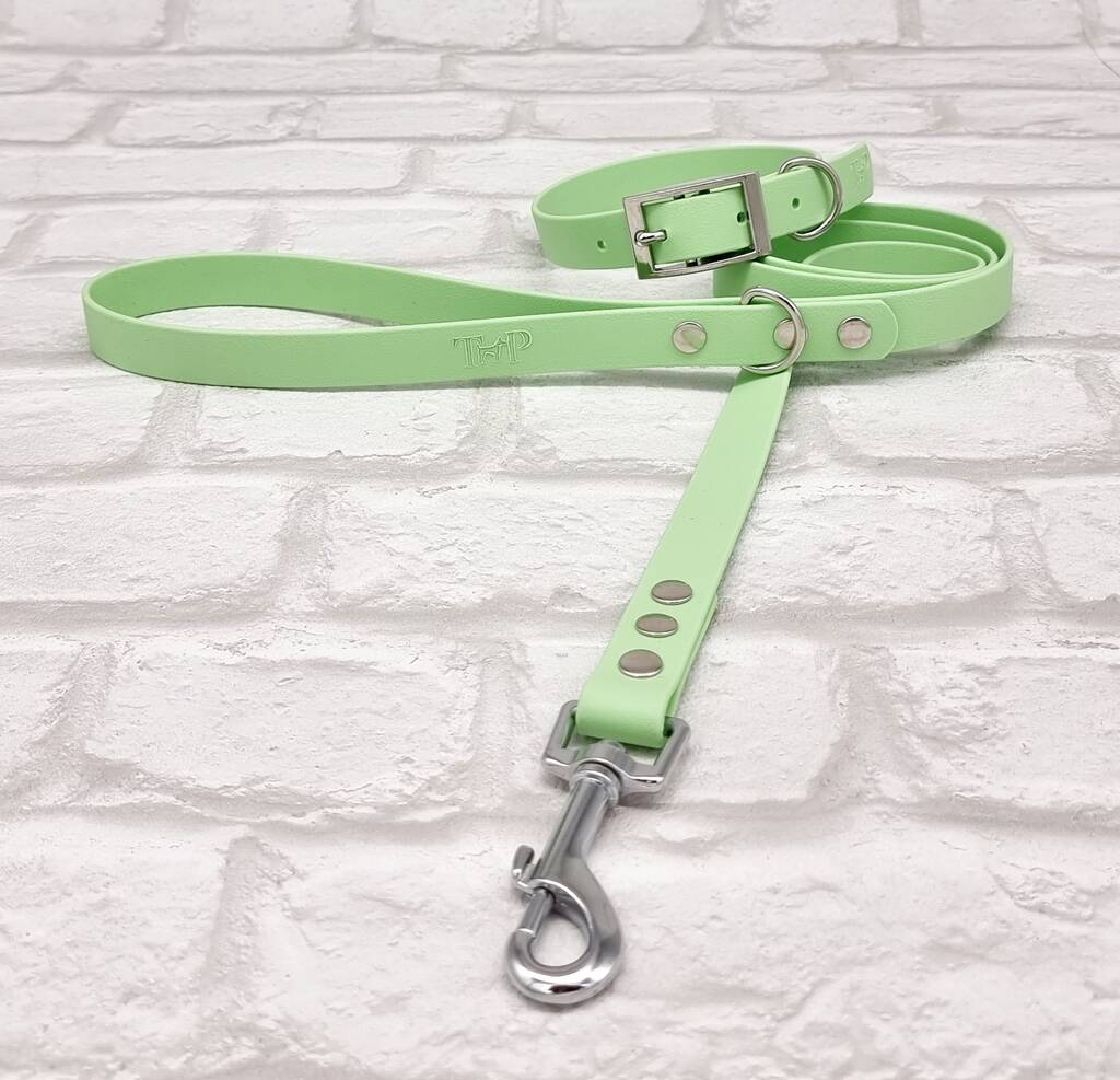 Waterproof Dog Collar And Lead Set Pistachio By Trinkety Paws
