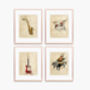 Set Of Musical Instrument Prints, thumbnail 1 of 5