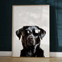 Black Labrador In Sunglasses Print, thumbnail 4 of 8