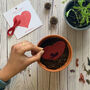 Plant A Heart Red Seed Paper Card, thumbnail 3 of 8