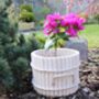 Round Vintage Style Wooden Flower Pot, thumbnail 3 of 6