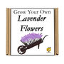 Gardening Gift For Her. Grow Your Own Lavender Plant, thumbnail 4 of 4