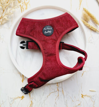 Burgundy Red Cord Dog Harness With Optional Set, 2 of 6