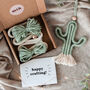 Make Your Own Mini Macrame Cactus Craft Kit, thumbnail 4 of 6
