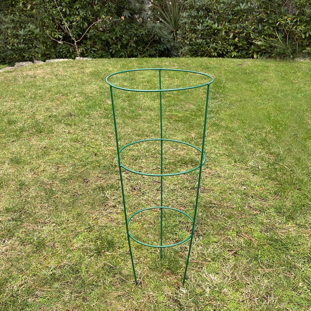 Conical Garden Plant Support Rings 60cm Five Pack By Garden Selections