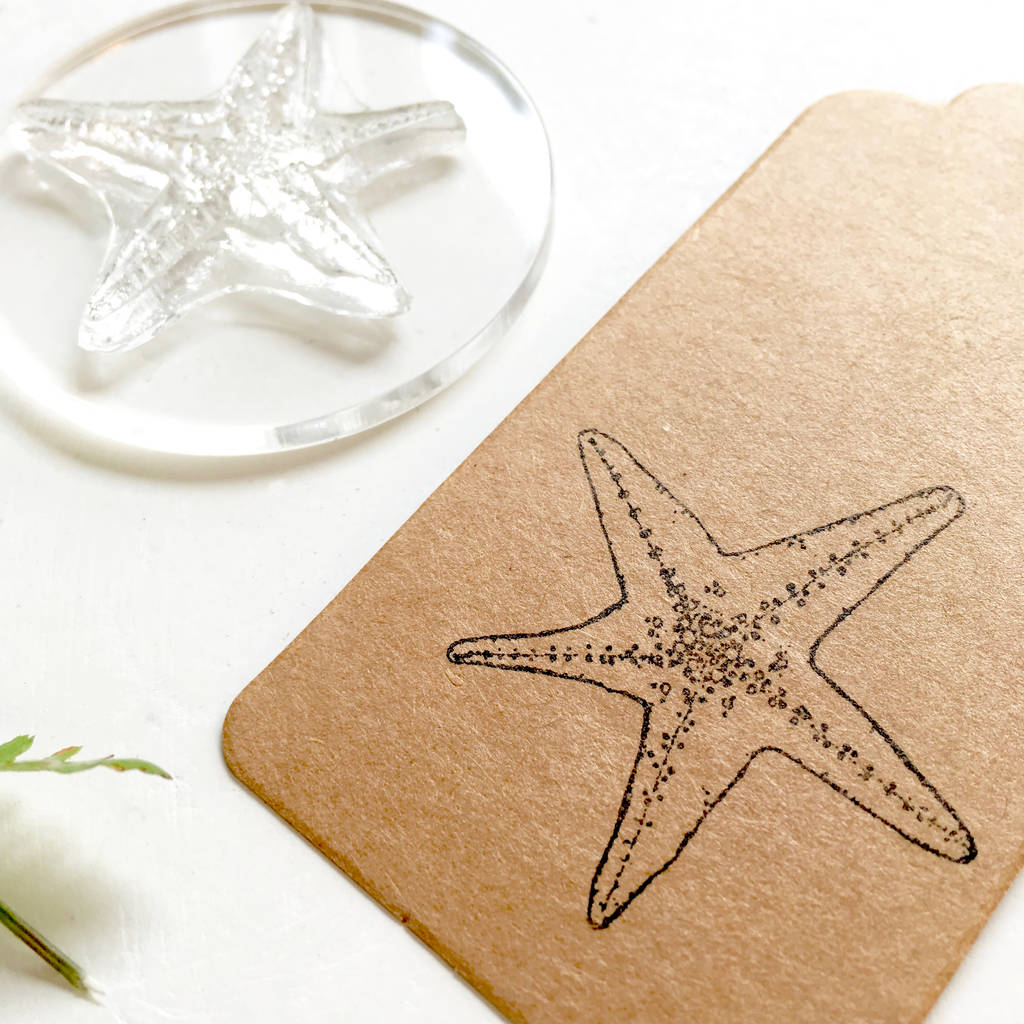 starfish clear rubber stamp by little stamp store